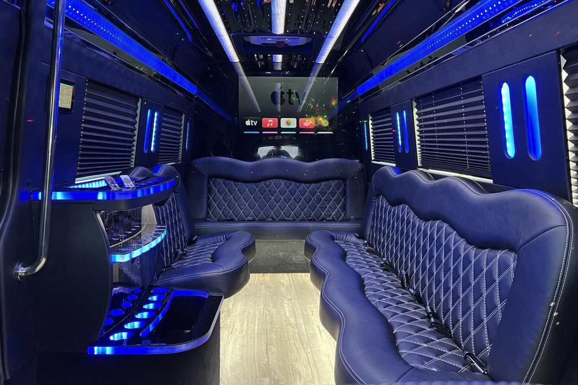 limo service limo sprinter Louisiana